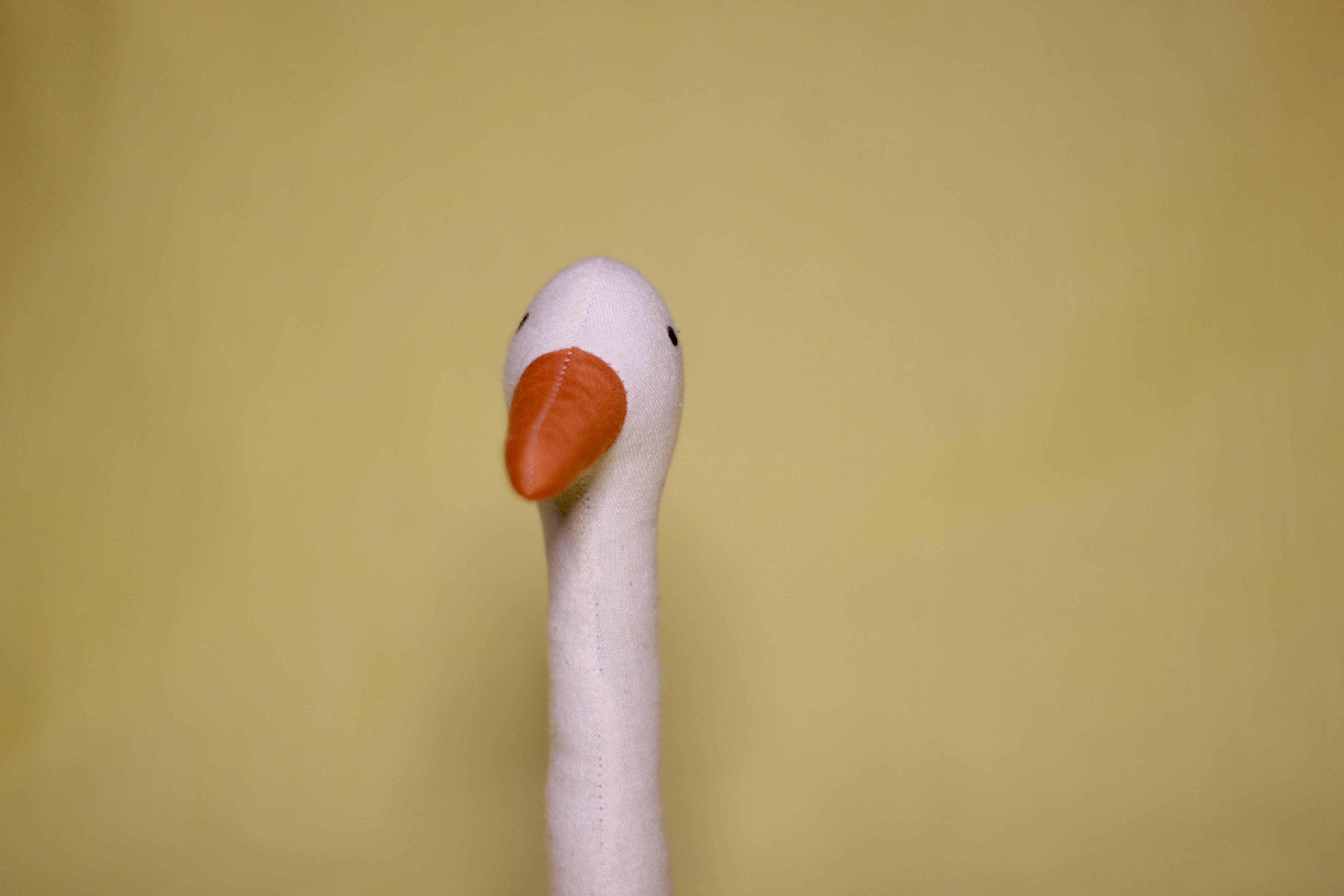 Laura Jo's Silly Geese